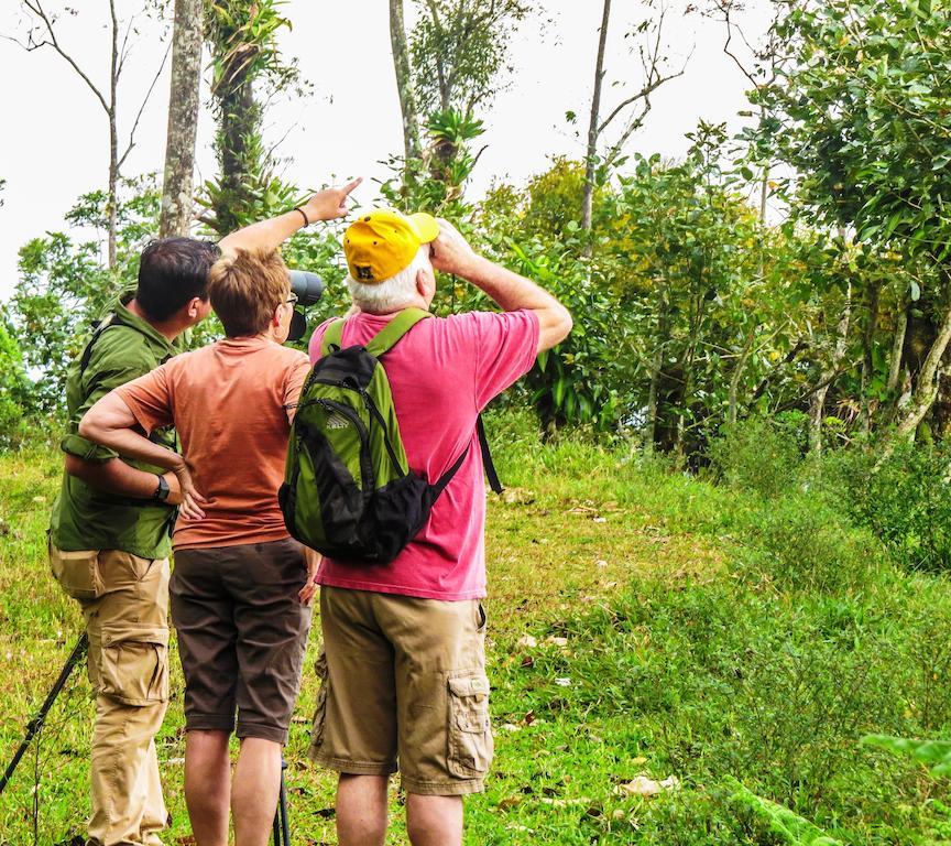 Arenal Waterfall Lodge Villas La Fortuna Phòng bức ảnh